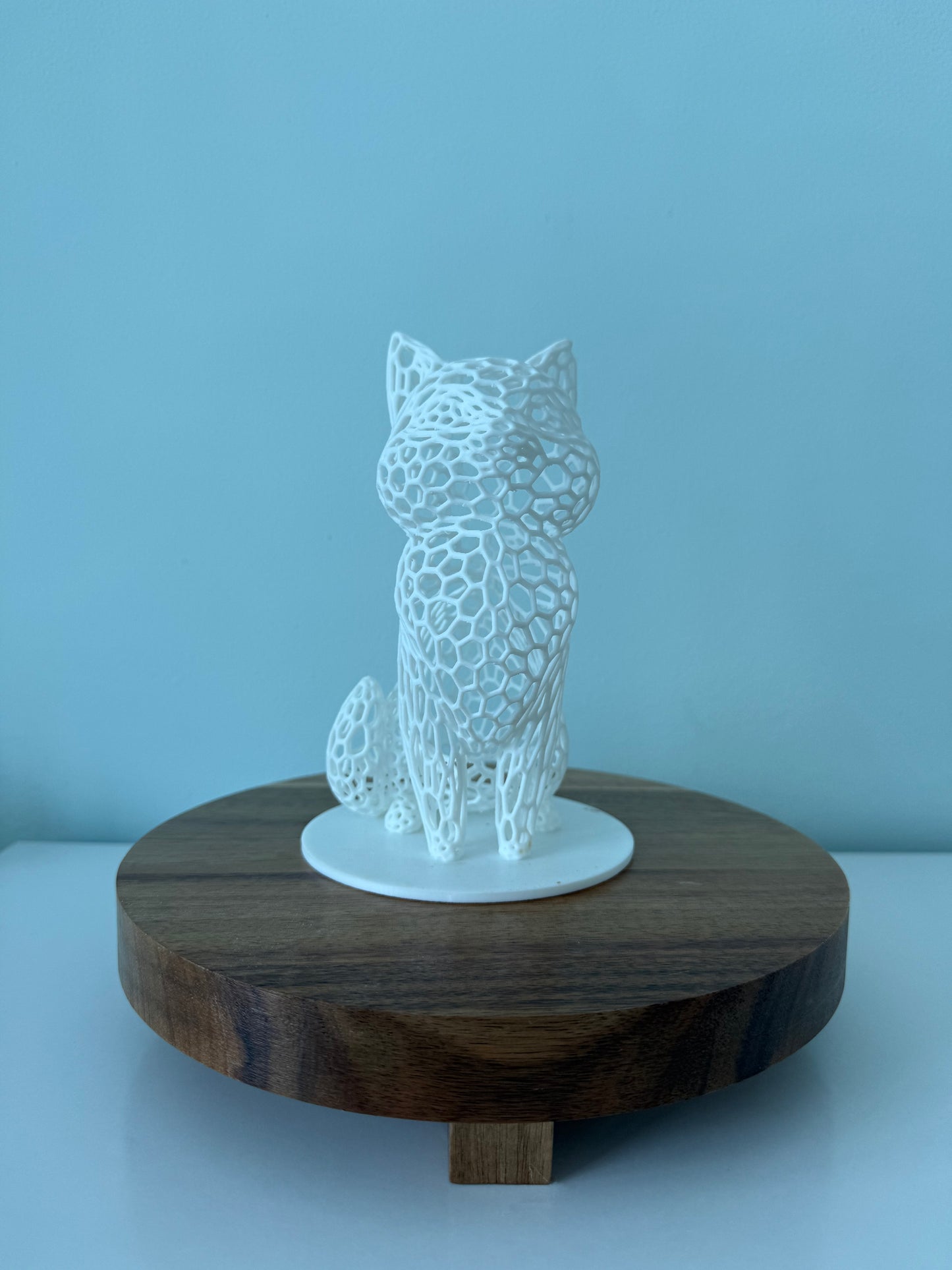 Hole Cat - Choose your color!