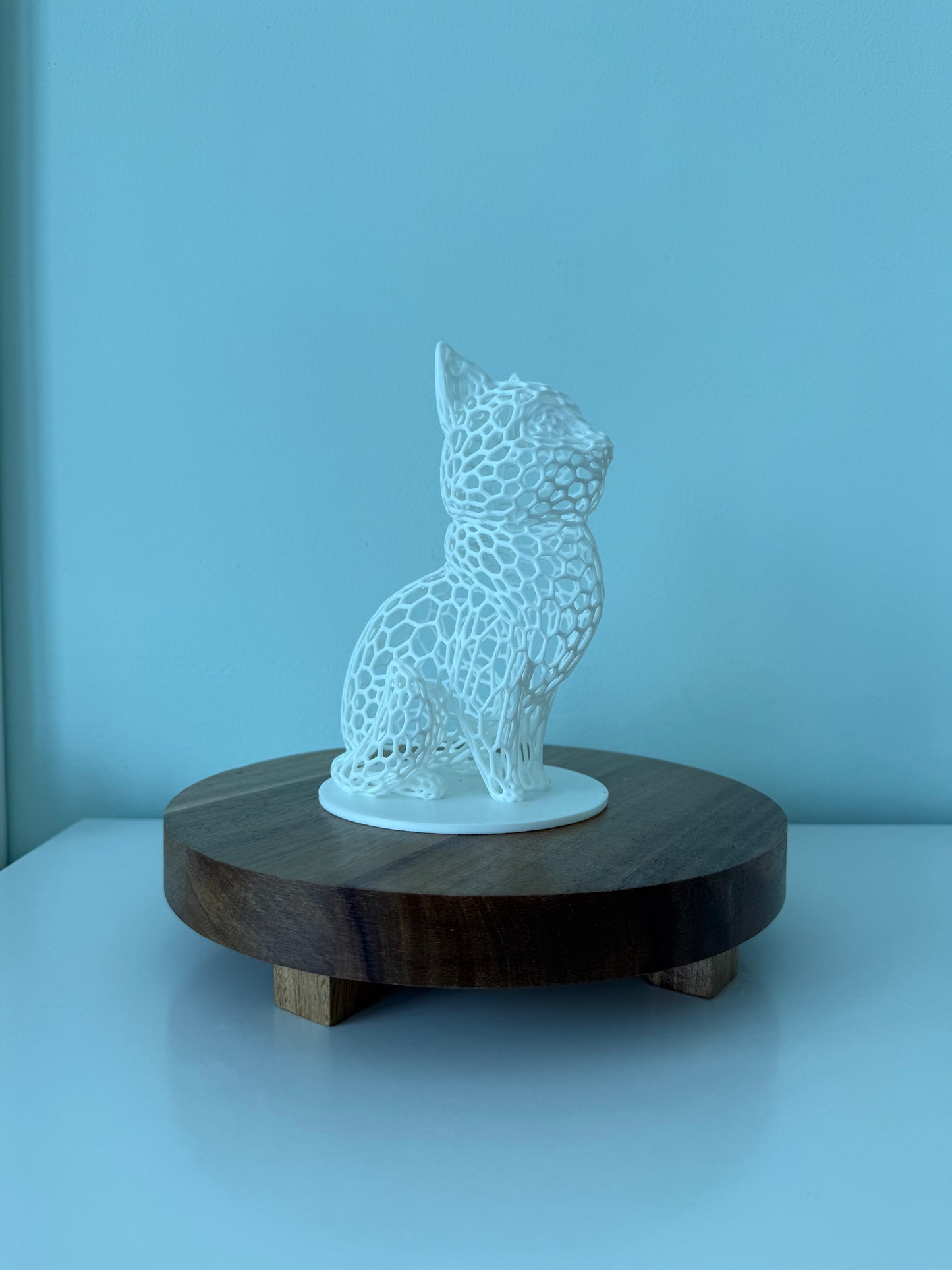 Hole Cat - Choose your color!