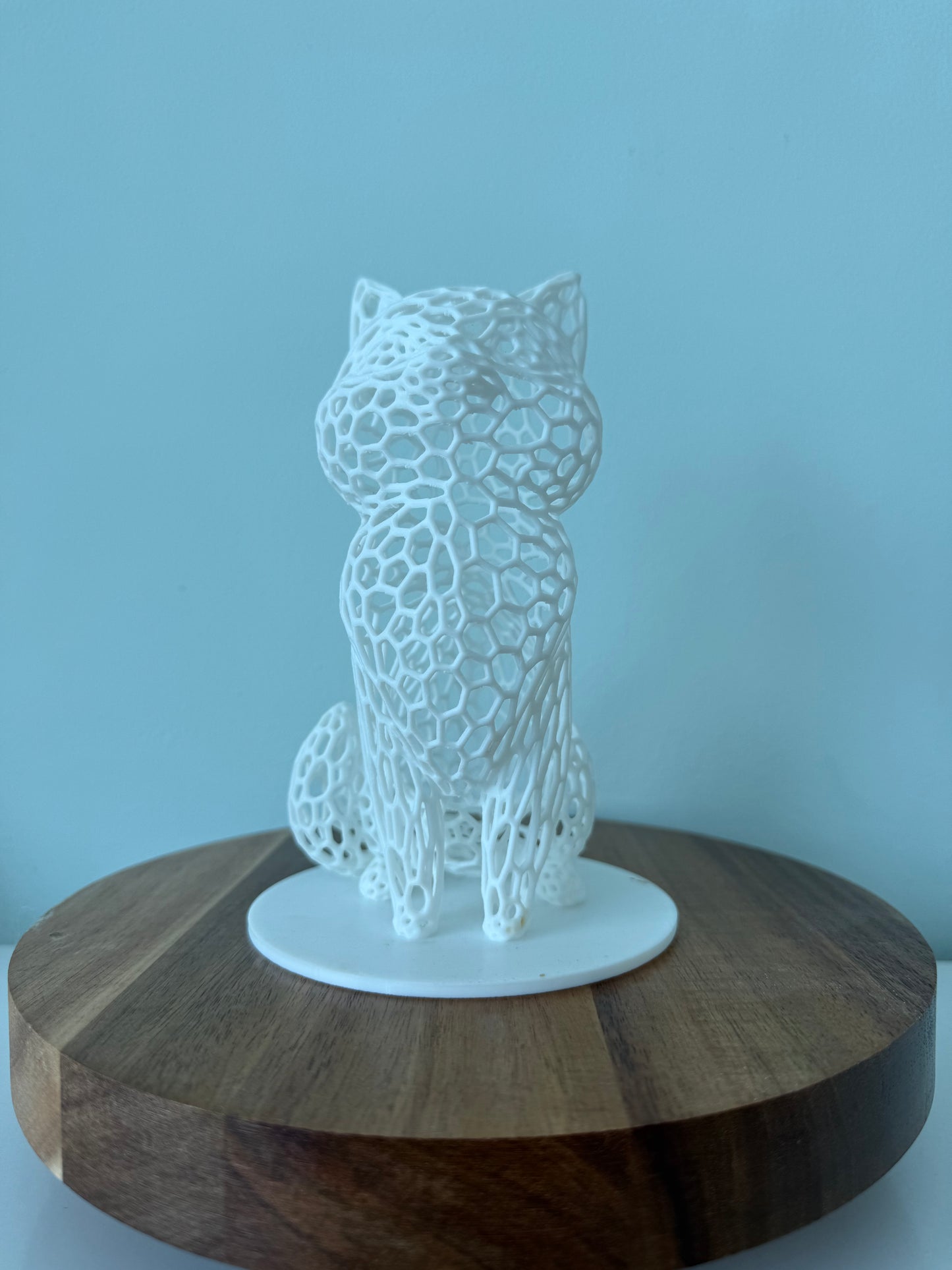 Hole Cat - Choose your color!