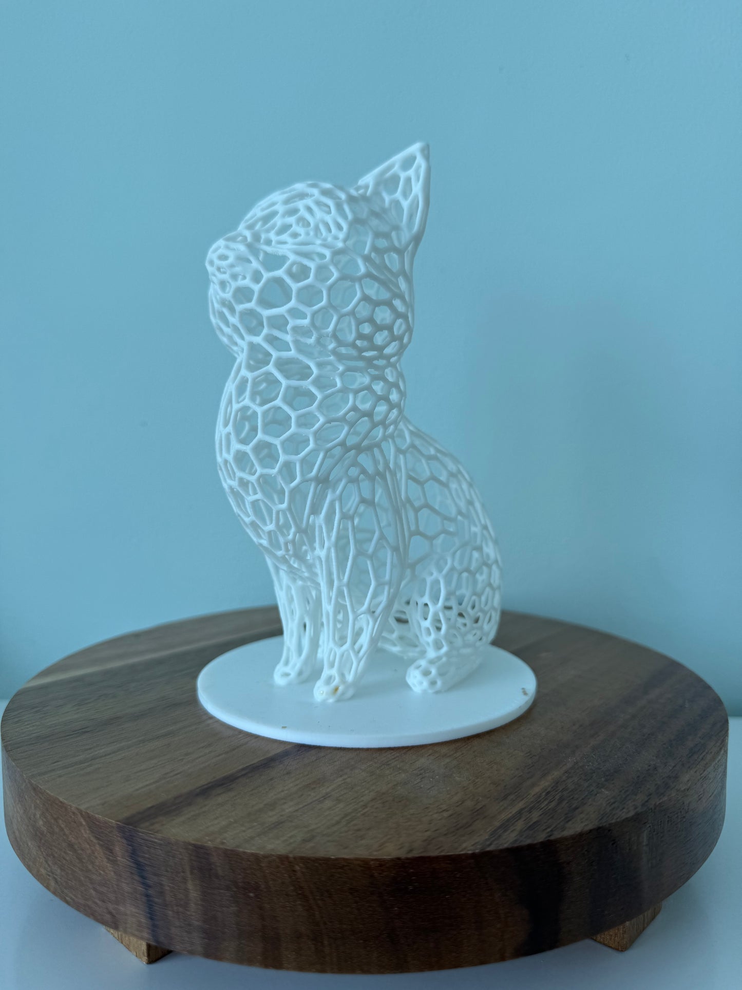 Hole Cat - Choose your color!