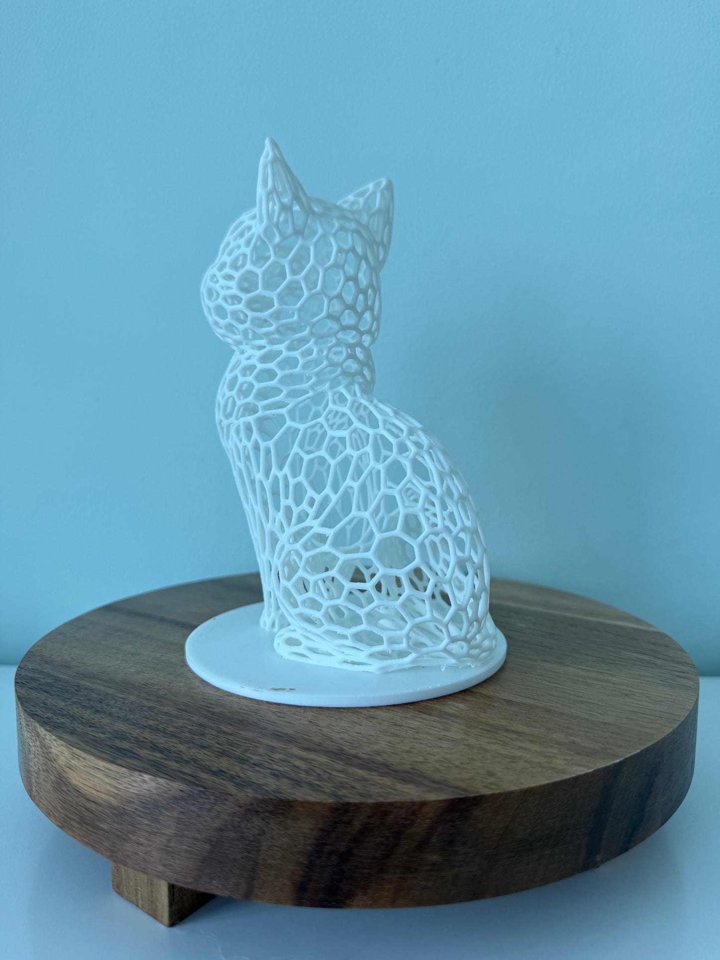 Hole Cat - Choose your color!