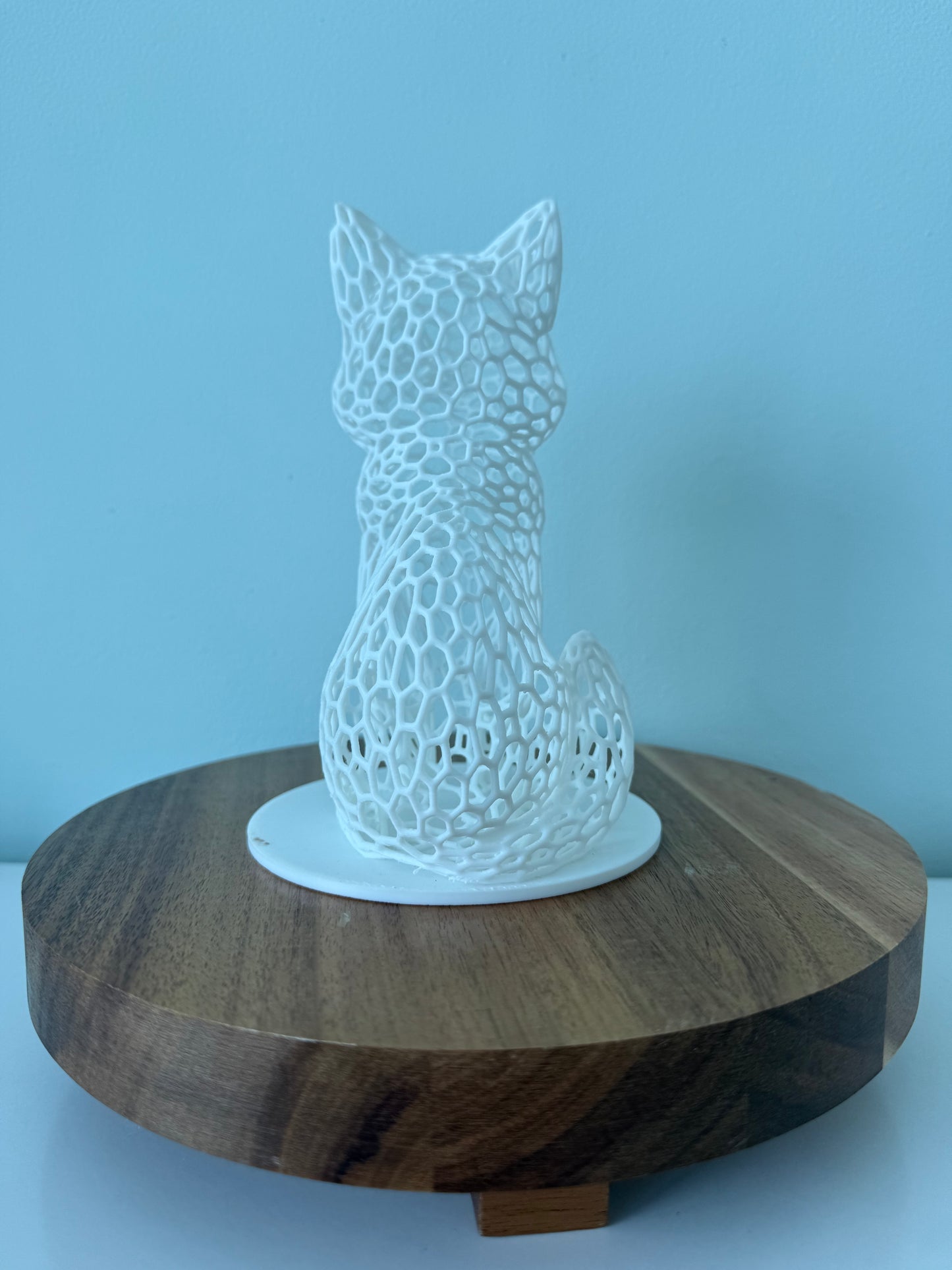 Hole Cat - Choose your color!