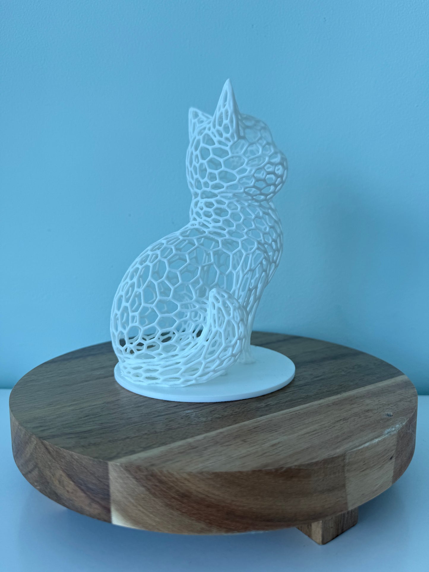 Hole Cat - Choose your color!