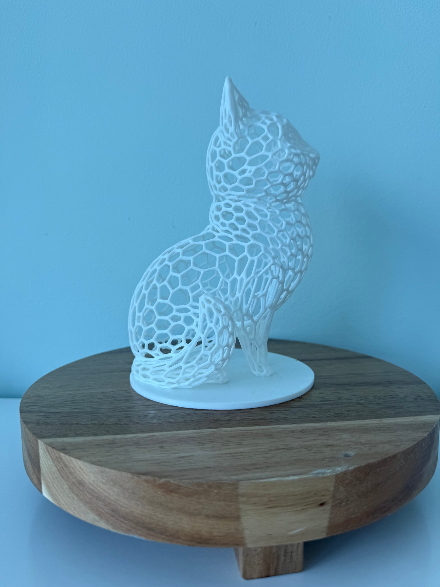 Hole Cat - Choose your color!